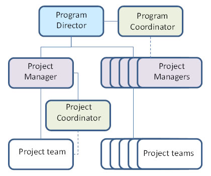 project director project manager